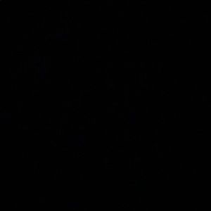 Meet your Posher, Jack